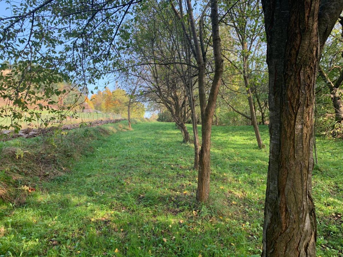 Conacul Maramuresean Bilgar Bogdan Voda Bagian luar foto