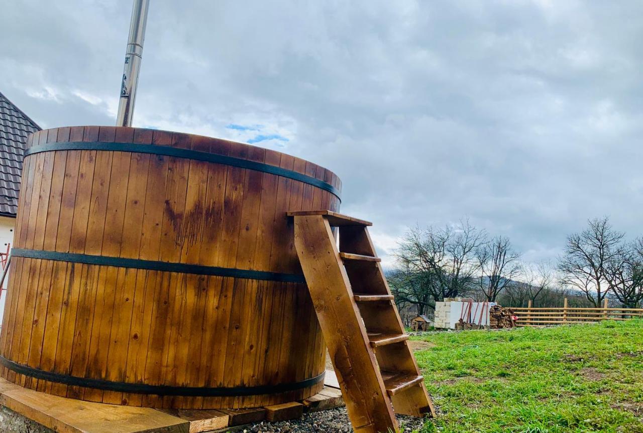 Conacul Maramuresean Bilgar Bogdan Voda Bagian luar foto